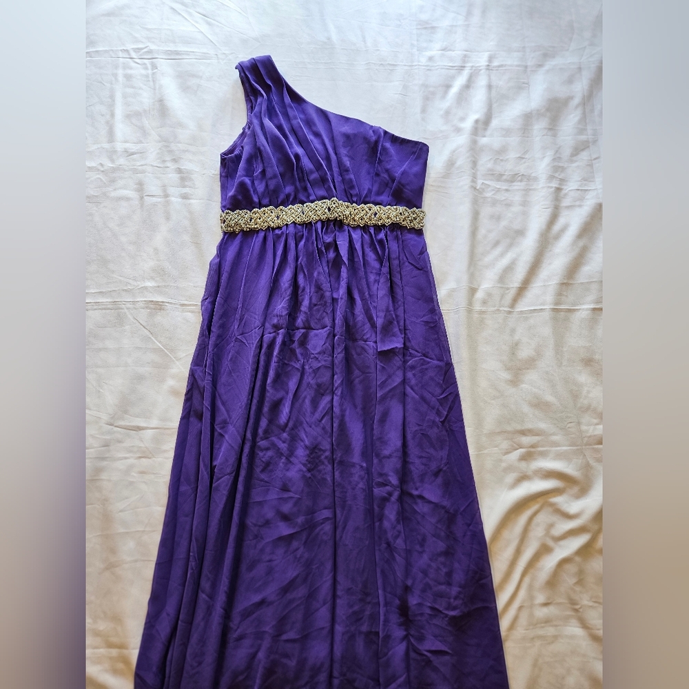 Elegant Purple Womans Dress with Silver Accents